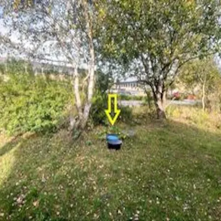 5 Star In * Grenå